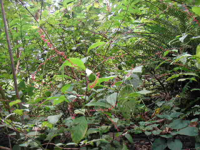 PICT2551_20101001001101.jpg