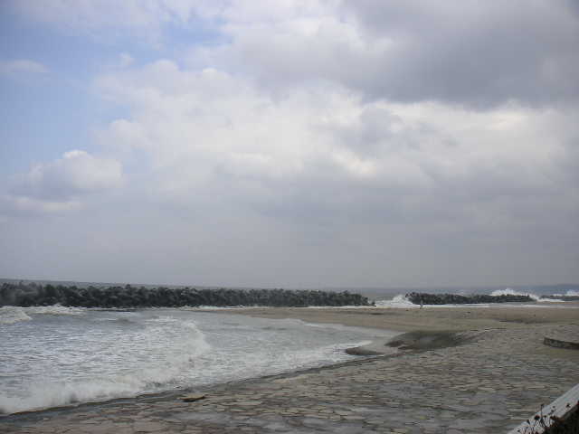 PICT2931_20110218122128.jpg