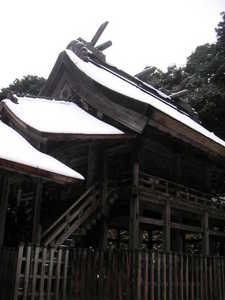 n_209_3.jpg