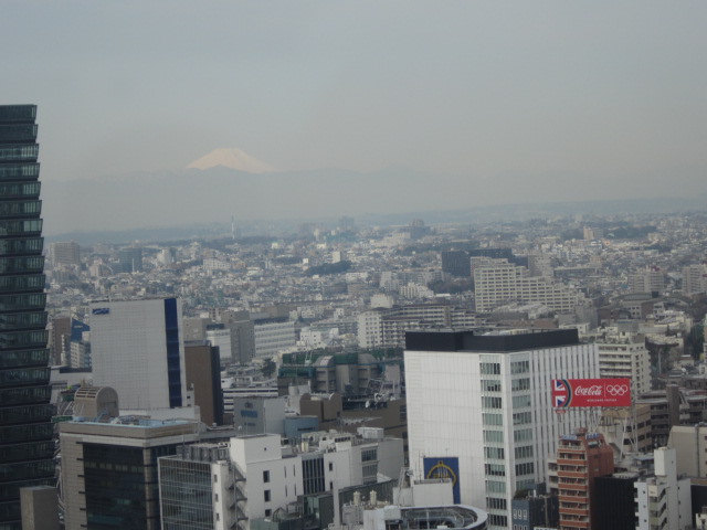 IMG_0009 (2)