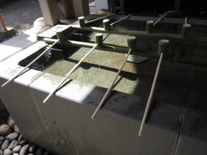 IMG_0006