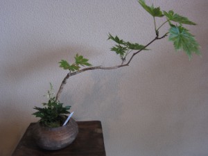 IMG_0002
