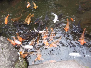 IMG_0023