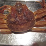 IMG_0014 (2)