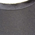 IMG_0022